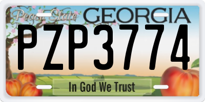 GA license plate PZP3774