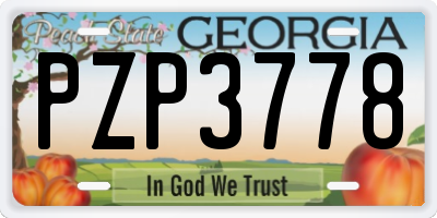 GA license plate PZP3778