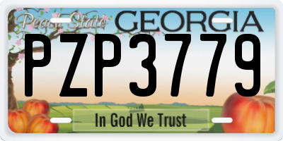 GA license plate PZP3779