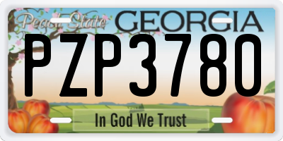 GA license plate PZP3780