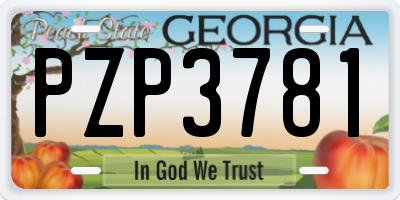 GA license plate PZP3781