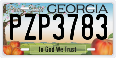GA license plate PZP3783