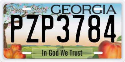 GA license plate PZP3784