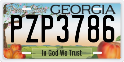 GA license plate PZP3786