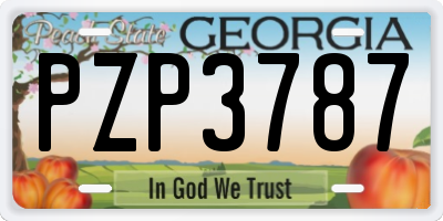 GA license plate PZP3787