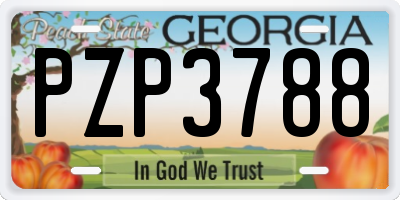 GA license plate PZP3788