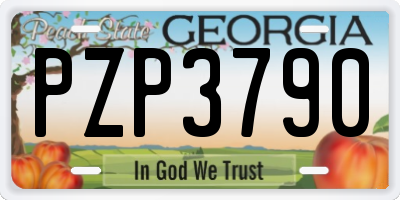 GA license plate PZP3790