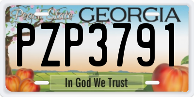 GA license plate PZP3791