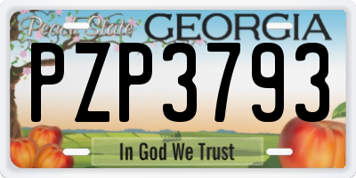 GA license plate PZP3793