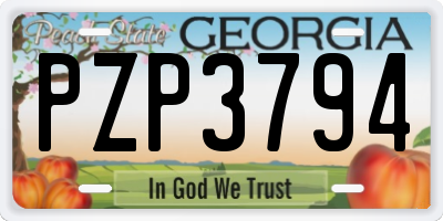 GA license plate PZP3794