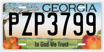 GA license plate PZP3799