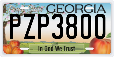 GA license plate PZP3800