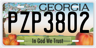 GA license plate PZP3802