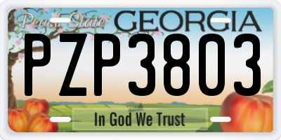 GA license plate PZP3803
