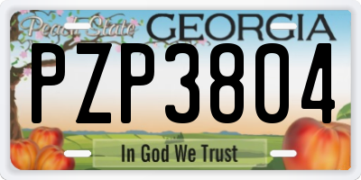 GA license plate PZP3804