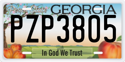GA license plate PZP3805