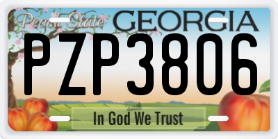 GA license plate PZP3806