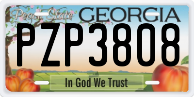 GA license plate PZP3808