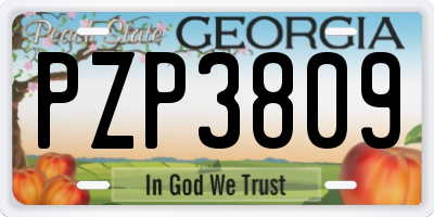 GA license plate PZP3809