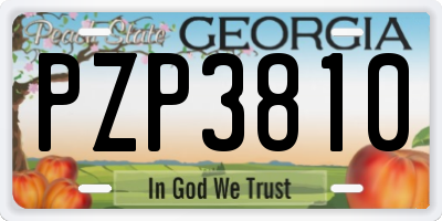 GA license plate PZP3810