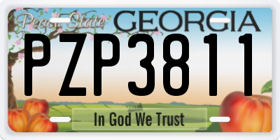 GA license plate PZP3811