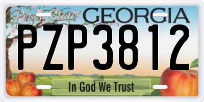 GA license plate PZP3812