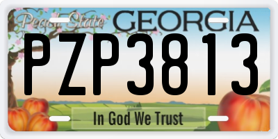 GA license plate PZP3813