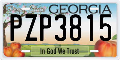 GA license plate PZP3815