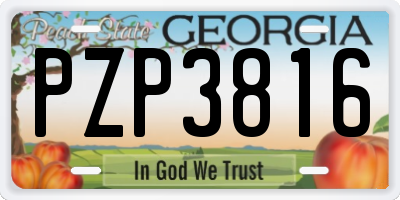 GA license plate PZP3816