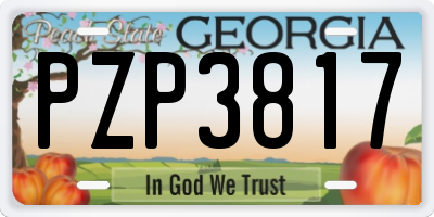 GA license plate PZP3817