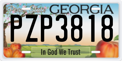 GA license plate PZP3818