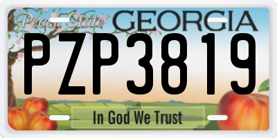 GA license plate PZP3819