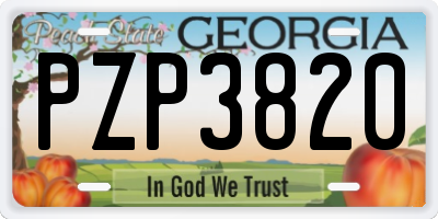 GA license plate PZP3820
