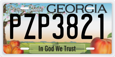 GA license plate PZP3821