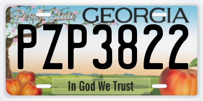 GA license plate PZP3822