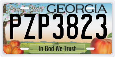 GA license plate PZP3823
