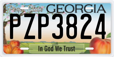 GA license plate PZP3824