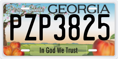 GA license plate PZP3825