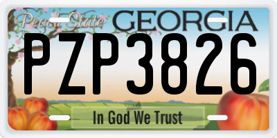 GA license plate PZP3826