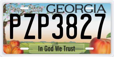 GA license plate PZP3827