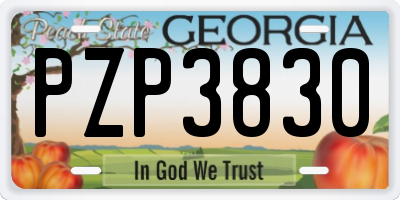 GA license plate PZP3830