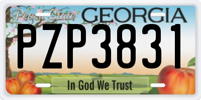 GA license plate PZP3831