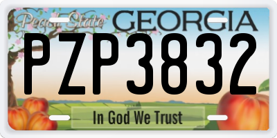 GA license plate PZP3832