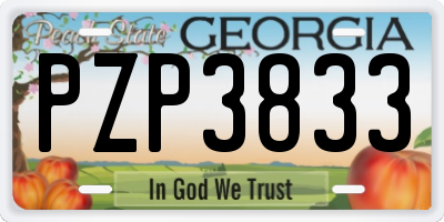 GA license plate PZP3833