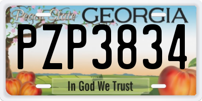 GA license plate PZP3834