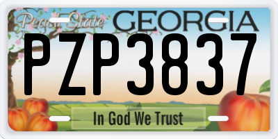 GA license plate PZP3837