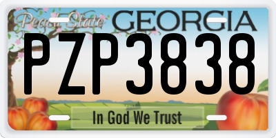 GA license plate PZP3838