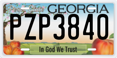 GA license plate PZP3840