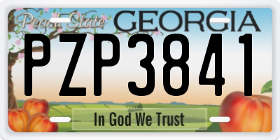 GA license plate PZP3841