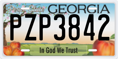 GA license plate PZP3842